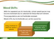 Slide13.PNG lesson4 180x130 - Scouting After a Herbicide Application and Confirming Herbicide Resistance