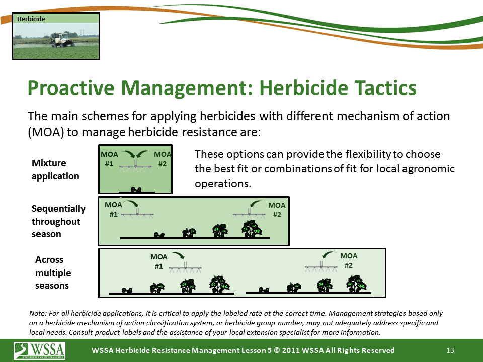 Slide13.PNG lesson5 - Principles of Managing Herbicide Resistance
