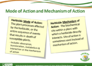 Slide14.PNG lesson2 180x130 - Herbicide-resistant Weeds Training Lessons