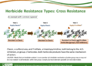 Slide14.PNG lesson3 180x130 - What Is Herbicide Resistance?