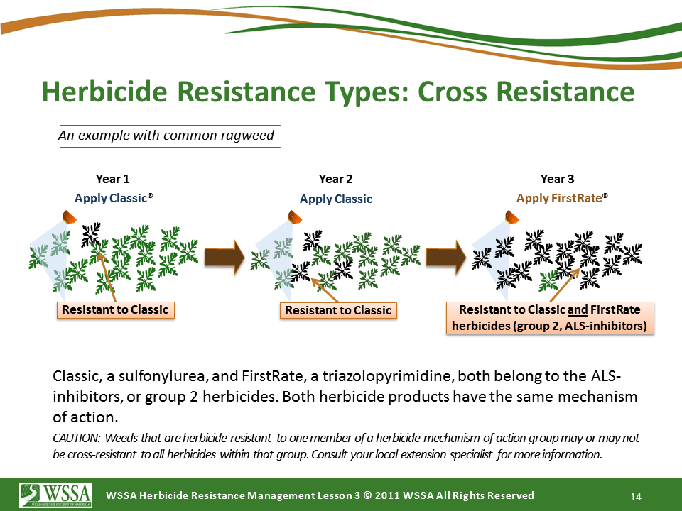 Slide14.PNG lesson3 - What Is Herbicide Resistance?