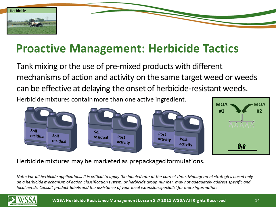 Slide14.PNG lesson5 - Principles of Managing Herbicide Resistance