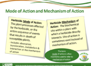 Slide15.PNG lesson2 180x130 - Herbicide-resistant Weeds Training Lessons