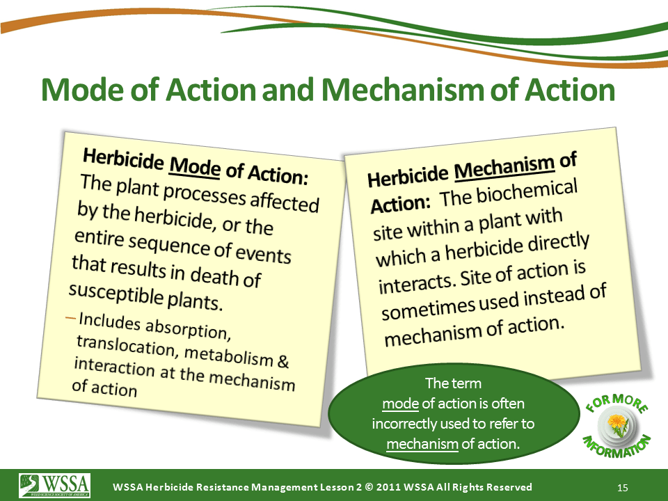 Slide15.PNG lesson2 - How Herbicides Work