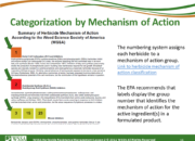 Slide16.PNG lesson2 180x130 - Herbicide-resistant Weeds Training Lessons