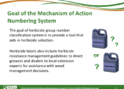 Slide17.PNG lesson2 180x130 - Herbicide-resistant Weeds Training Lessons