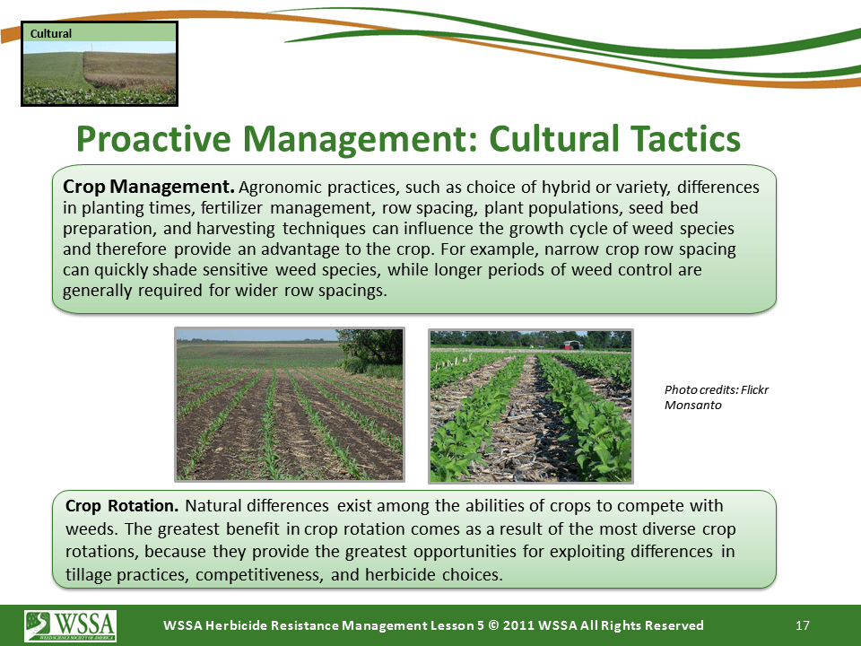 Slide17.PNG lesson5 - Principles of Managing Herbicide Resistance