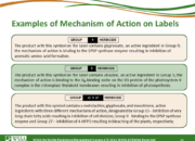 Slide18.PNG lesson2 180x130 - Herbicide-resistant Weeds Training Lessons