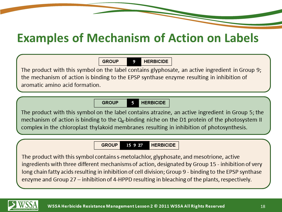 Slide18.PNG lesson2 - How Herbicides Work