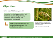 Slide2.PNG lesson2 180x130 - How Herbicides Work