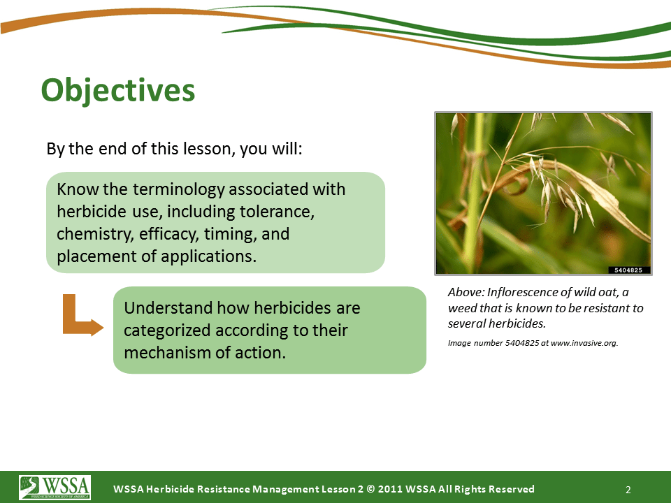Slide2.PNG lesson2 - How Herbicides Work