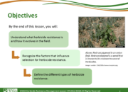 Slide2.PNG lesson3 180x130 - Herbicide-resistant Weeds Training Lessons