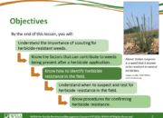 Slide2.PNG lesson4 180x130 - Scouting After a Herbicide Application and Confirming Herbicide Resistance