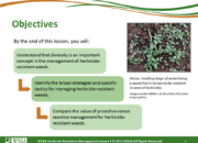 Slide2.PNG lesson5 180x130 - Principles of Managing Herbicide Resistance