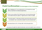 Slide20.PNG lesson4 180x130 - Scouting After a Herbicide Application and Confirming Herbicide Resistance