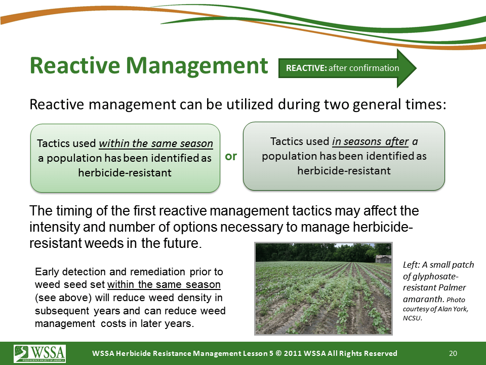 Slide20.PNG lesson5 - Principles of Managing Herbicide Resistance