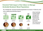 Slide22.PNG lesson5 180x130 - Herbicide-resistant Weeds Training Lessons