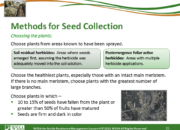 Slide25.PNG lesson4 180x130 - Scouting After a Herbicide Application and Confirming Herbicide Resistance