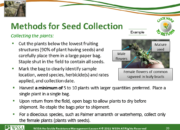 Slide26.PNG lesson4 180x130 - Herbicide-resistant Weeds Training Lessons