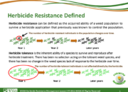 Slide3.PNG lesson3 180x130 - Herbicide-resistant Weeds Training Lessons