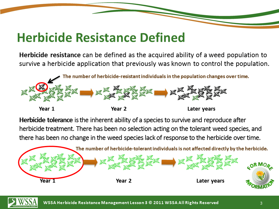 Slide3.PNG lesson3 - What Is Herbicide Resistance?