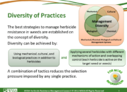 Slide3.PNG lesson5 180x130 - Principles of Managing Herbicide Resistance
