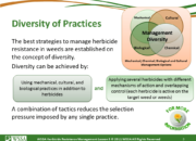 Slide3.PNG lesson5 180x130 - Herbicide-resistant Weeds Training Lessons