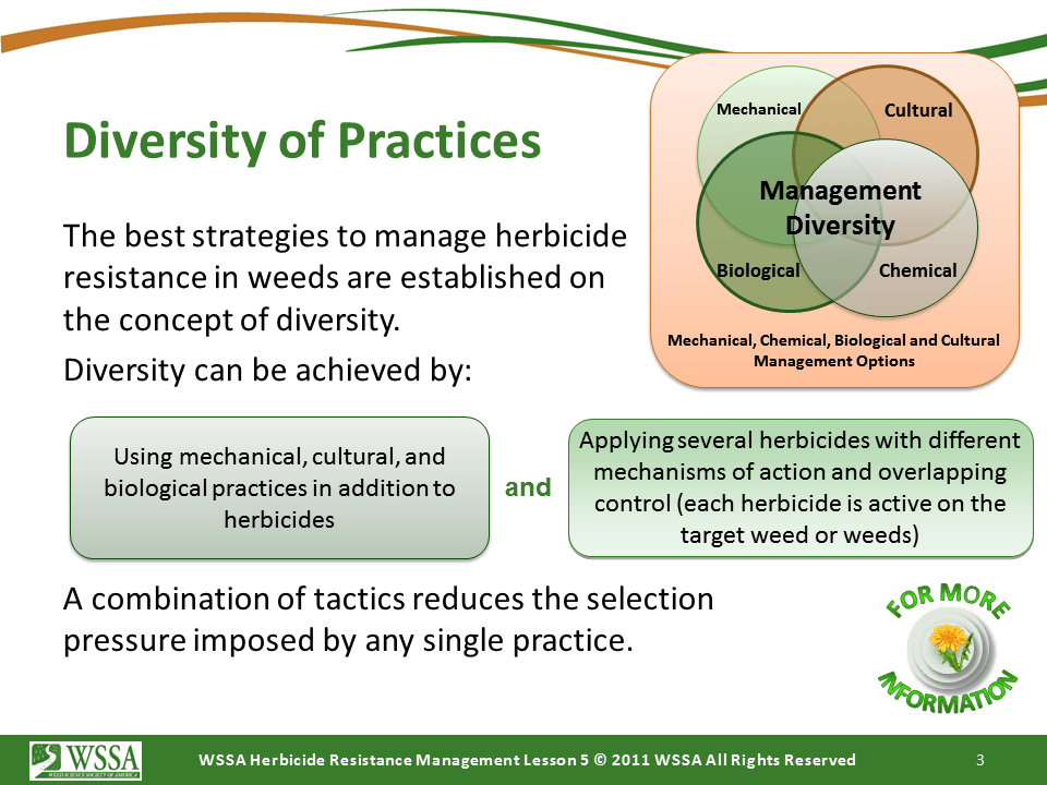 Slide3.PNG lesson5 - Principles of Managing Herbicide Resistance