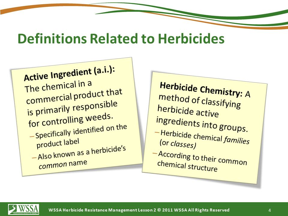 Slide4.PNG lesson2 - How Herbicides Work