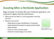 Slide4.PNG lesson4 180x130 - Scouting After a Herbicide Application and Confirming Herbicide Resistance