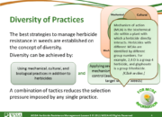 Slide4.PNG lesson5 180x130 - Principles of Managing Herbicide Resistance