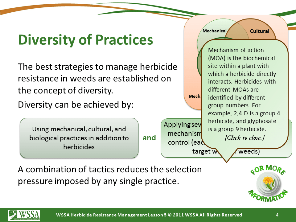 Slide4.PNG lesson5 - Principles of Managing Herbicide Resistance