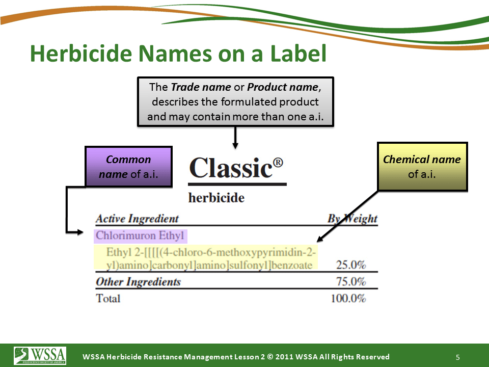 Slide5.PNG lesson2 - How Herbicides Work
