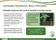 Slide5.PNG lesson3 180x130 - Herbicide-resistant Weeds Training Lessons