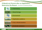 Slide5.PNG lesson4 180x130 - Scouting After a Herbicide Application and Confirming Herbicide Resistance