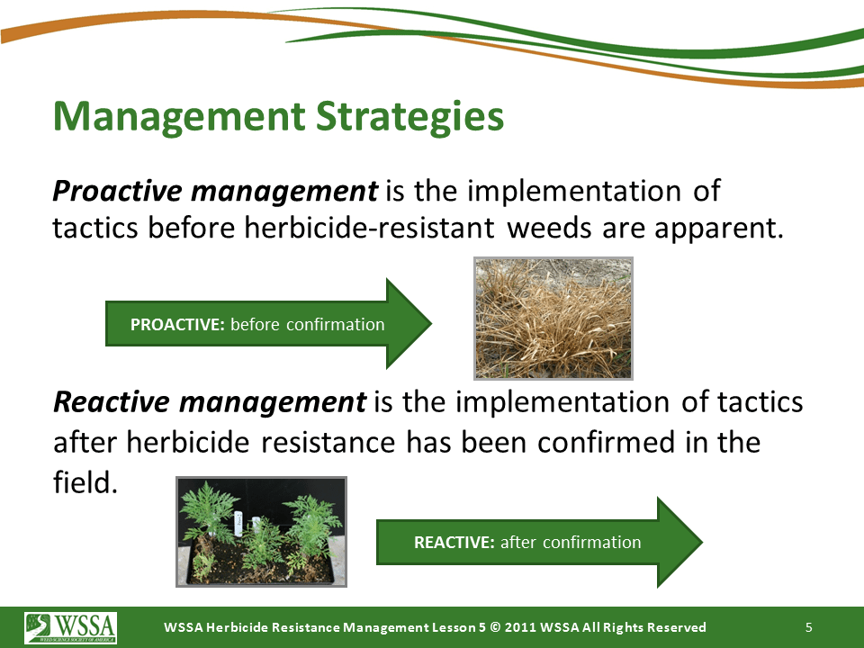 Slide5.PNG lesson5 - Principles of Managing Herbicide Resistance