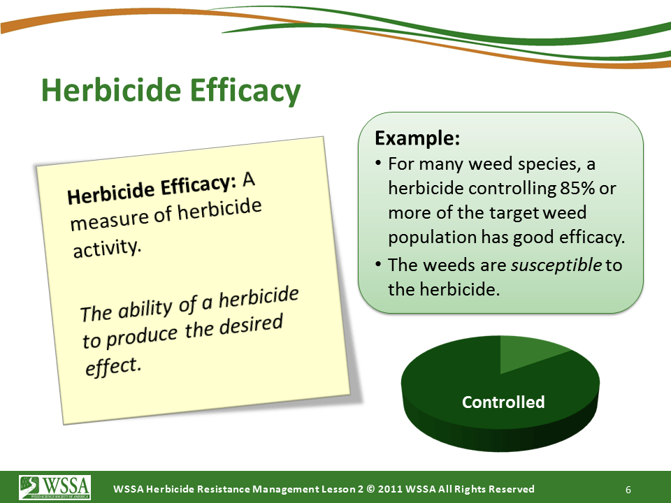 Slide6.PNG lesson2 - How Herbicides Work