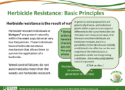 Slide6.PNG lesson3 180x130 - Herbicide-resistant Weeds Training Lessons