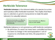 Slide7.PNG lesson2 180x130 - Herbicide-resistant Weeds Training Lessons