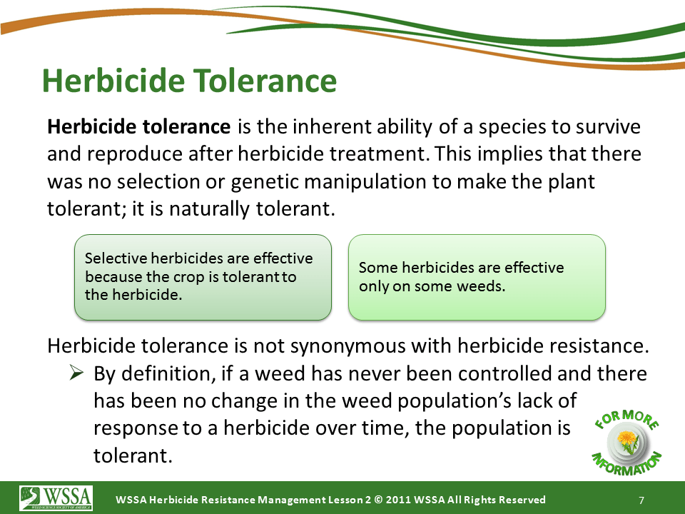 Slide7.PNG lesson2 - How Herbicides Work