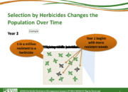 Slide7.PNG lesson3 180x130 - Herbicide-resistant Weeds Training Lessons