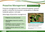 Slide7.PNG lesson5 180x130 - Principles of Managing Herbicide Resistance