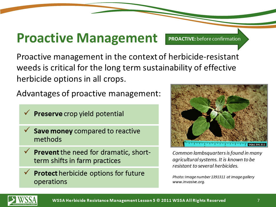 Slide7.PNG lesson5 - Principles of Managing Herbicide Resistance
