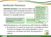 Slide8.PNG lesson2 180x130 - Herbicide-resistant Weeds Training Lessons