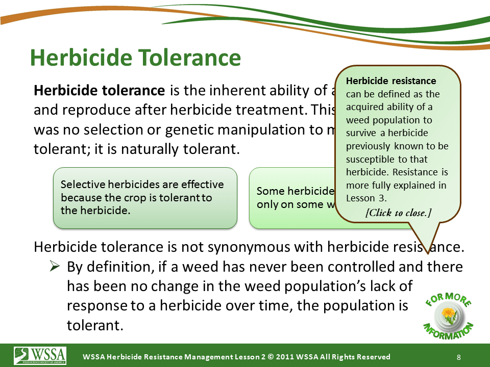 Slide8.PNG lesson2 - How Herbicides Work