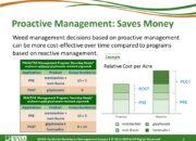 Slide8.PNG lesson5 180x130 - Principles of Managing Herbicide Resistance