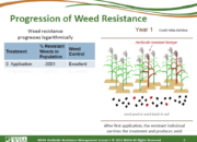 Slide9.PNG lesson5 180x130 - Herbicide-resistant Weeds Training Lessons