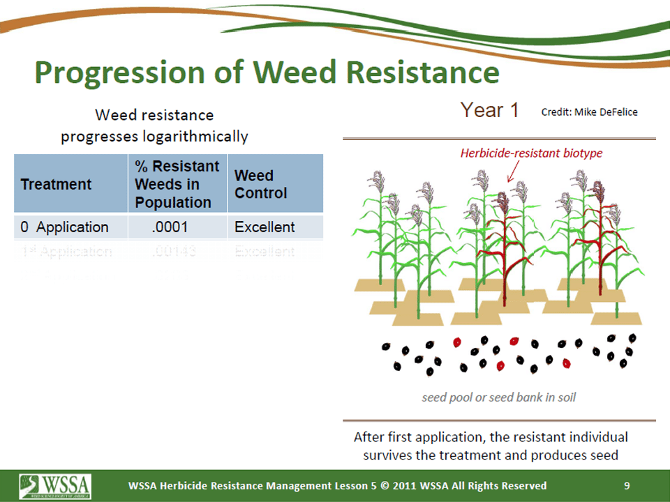 Slide9.PNG lesson5 - Principles of Managing Herbicide Resistance