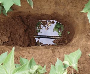 irrigate overview 1 - Irrigation Systems Overview irrigate overview 1 - Irrigation Systems Overview