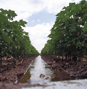 irrigate overview 11 - Irrigation Systems Overview